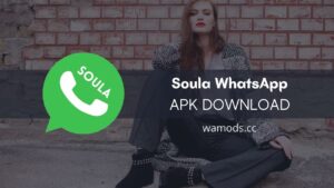 WhatsApp üçün Soula