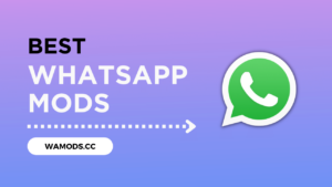 Лучшие моды для WhatsApp